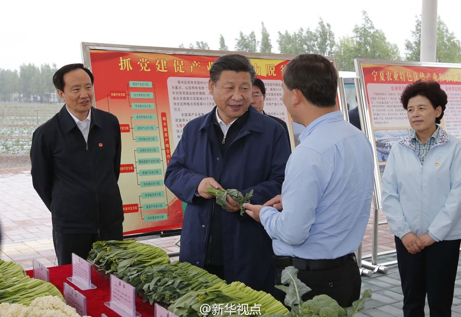 点击图片查看详情 冯提莫收入多少_一亩地一年收入多少(2)