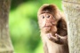 Ů�οͱ��������� ���޷��ķ�΢������ 
