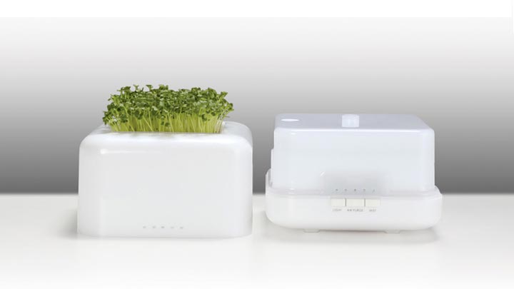 能种植物的加湿器 能种植物的加湿器