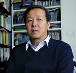 杨东平 杨东平