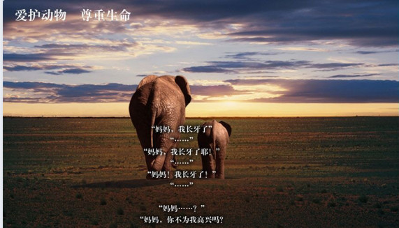 当一个人看到国际爱护动物基金会(IFAW)这样的海报时,很难不受触动 当一个人看到国际爱护动物基金会(IFAW)这样的海报时,很难不受触动