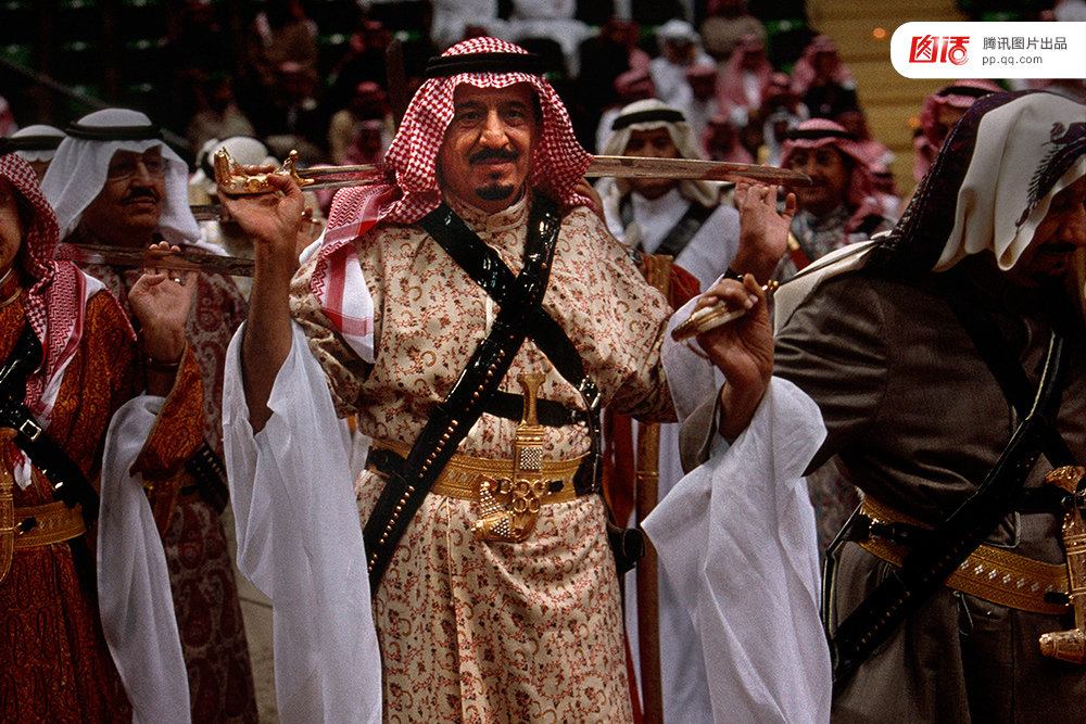 王室备胎_不喜欢猫