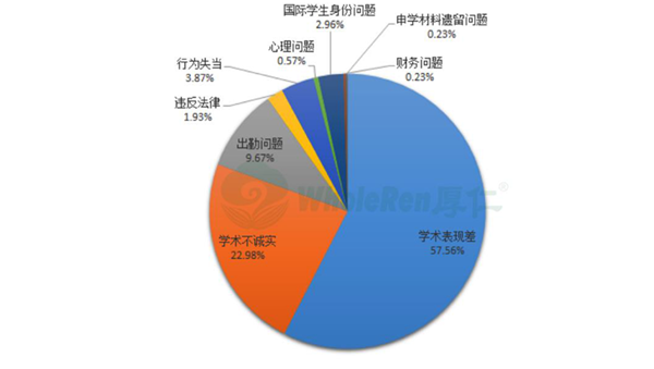 中国留学生被开除的具体原因