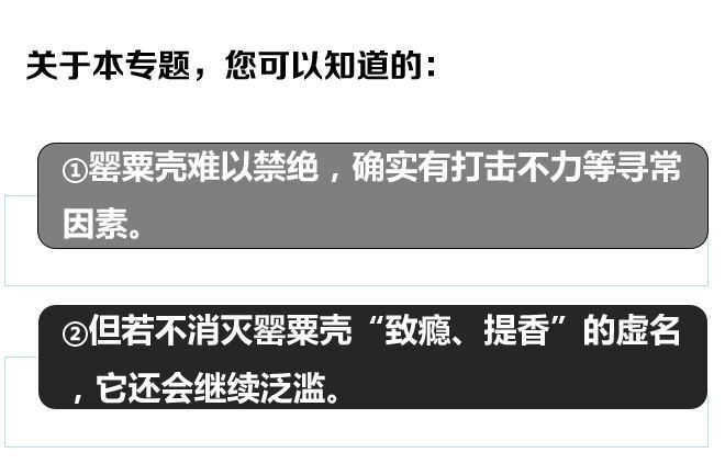 今日话题第3414期:饭店用罂粟壳招徕食客是被误导的恶