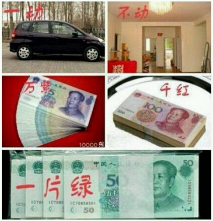 彩礼“万紫千红一片绿,外加一动不动” 彩礼“万紫千红一片绿,外加一动不动”