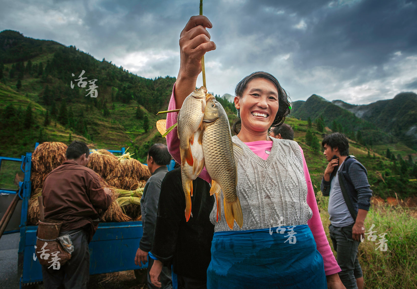 千年糯禾：濒临消亡的传统岜沙农耕文化(组图)