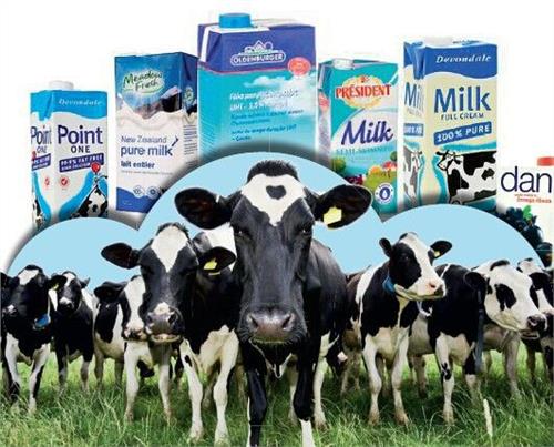 进口液态奶在中国非常受欢迎