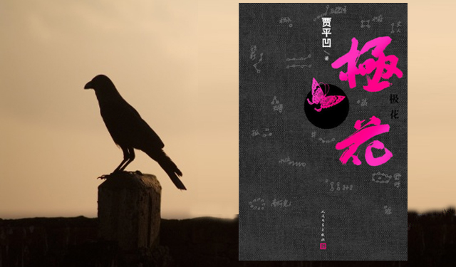 贾平凹/人民文学出版社/2016年 贾平凹/人民文学出版社/2016年