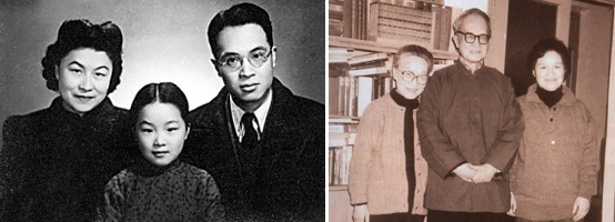 中国知识分子达不到的境界, 杨绛先生 接近了_叶