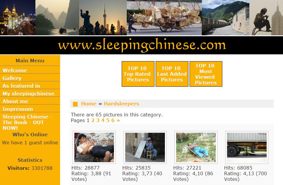 “睡觉的中国人”网站截图