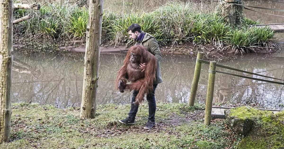BBC新片《荒野间谍》激萌开播_独家编译_腾讯新闻