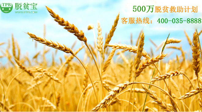 “脱贫宝”所谓的救助金计划 “脱贫宝”所谓的救助金计划