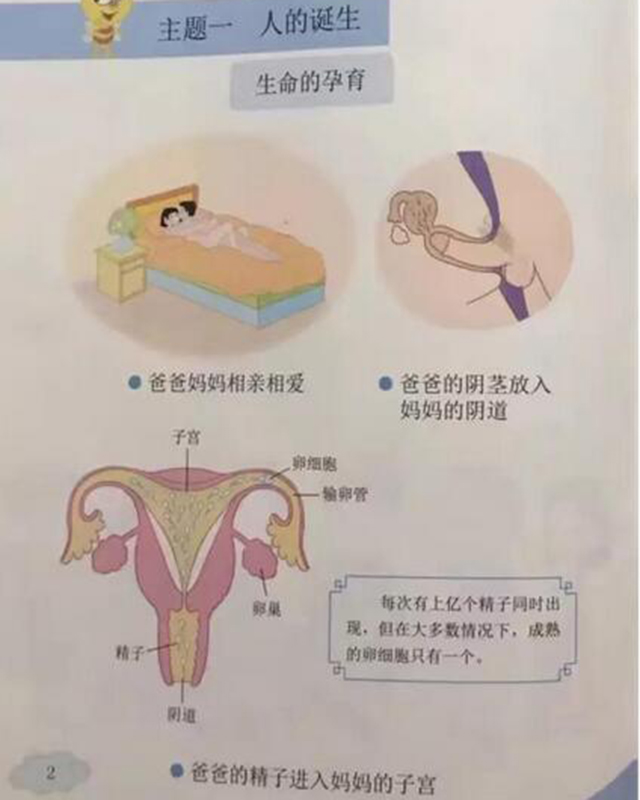 性教育争议,人类愚蠢的又一次示范