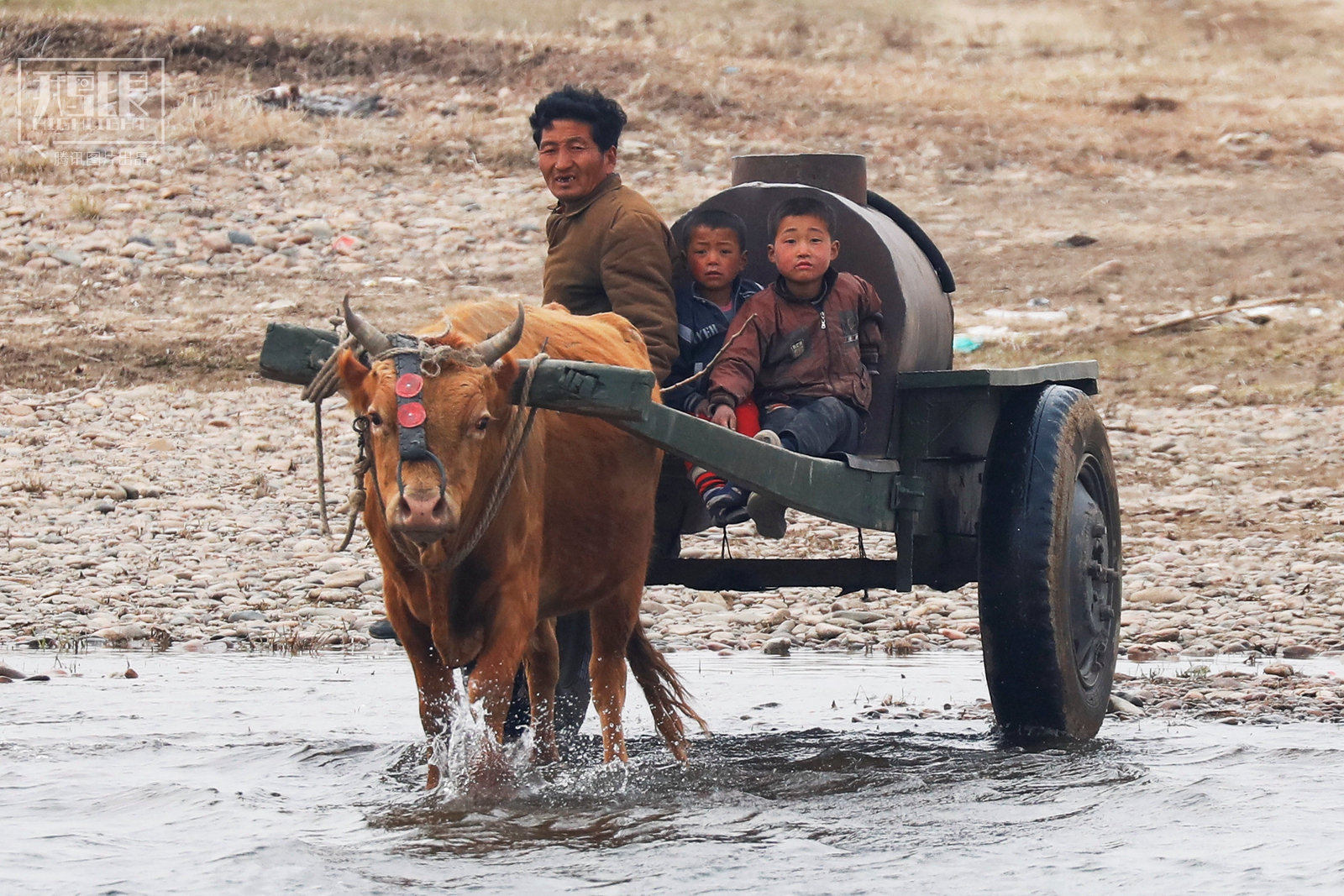 探访中朝界河鸭绿江 边境游依然红火(高清组图)
