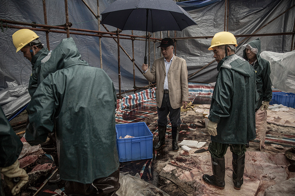 童慎汉撑着雨伞在解剖现场进行指导。(摄影 / 冯海泳) 童慎汉撑着雨伞在解剖现场进行指导。(摄影 / 冯海泳)