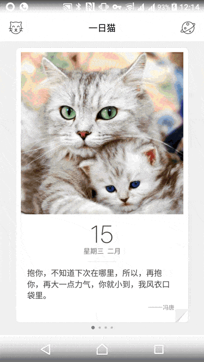 贱与魔性,是猫中谜之个性,也是新世纪崛起的创意与流量担当.