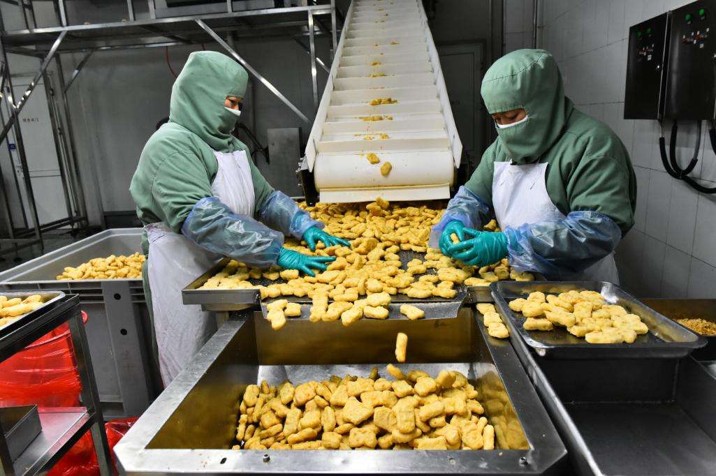 ������2010���𣬽�ֹ���й�������������