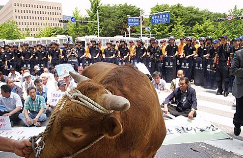 ����ũ�����������ţ��