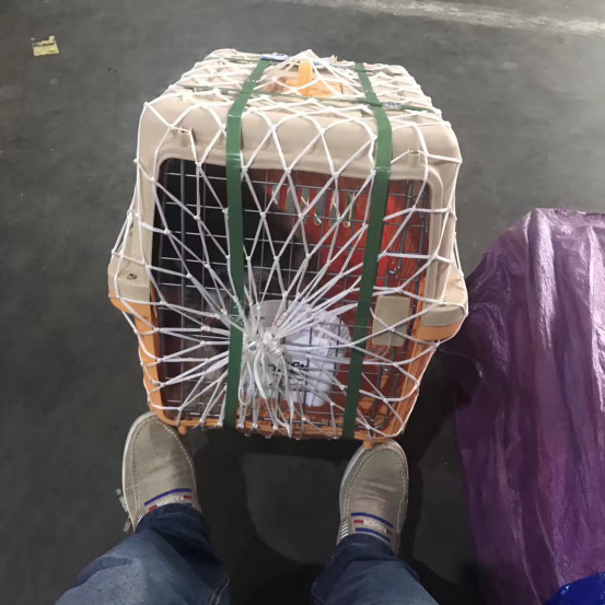 正确的打包方法。图片来源:网友@二八爷 正确的打包方法。图片来源:网友@二八爷