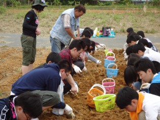 日本学生修学旅行体验挖红薯