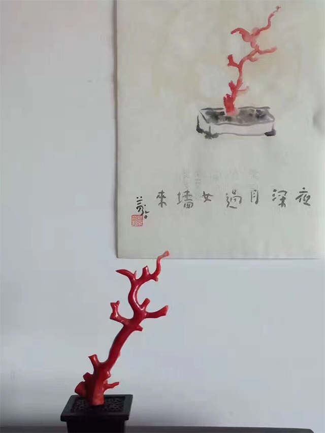 阿卡红珊瑚枝,海山藏品 阿卡红珊瑚枝,海山藏品