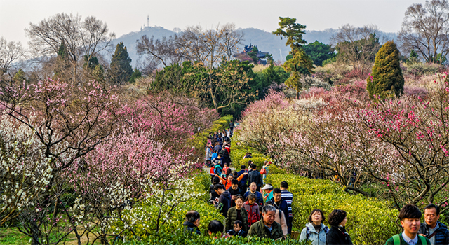 一片降幡出石头
