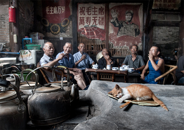 更智慧更勇敢更乐观的一杯好茶