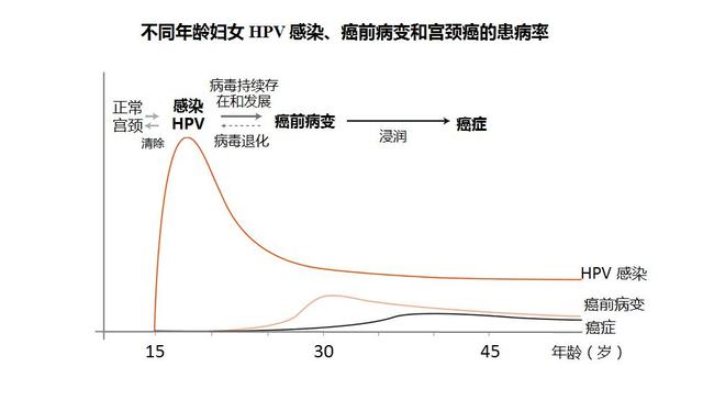 图片来源：丁香医生