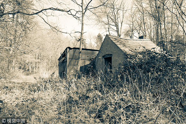 最後的愛：一種新的農村自殺現象