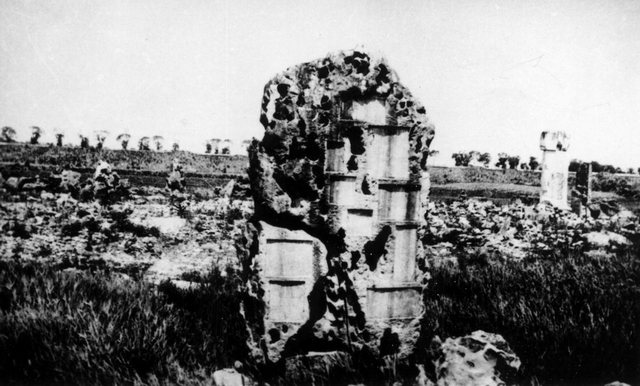 乾隆審美，密恐患者的剋星