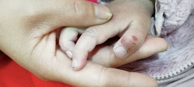 永遠正確的公益人士們，你們欠小鳳雅一個道歉