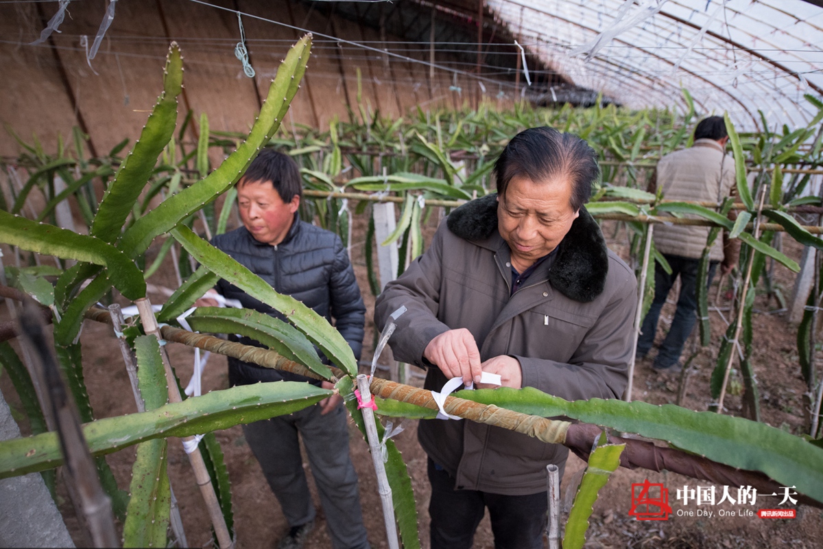 中国人的一天第3130期：烈士弟弟倾尽家产返乡报恩