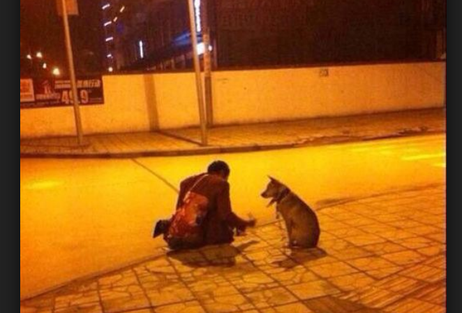 新闻图片:街头的流浪汉与狗 新闻图片:街头的流浪汉与狗