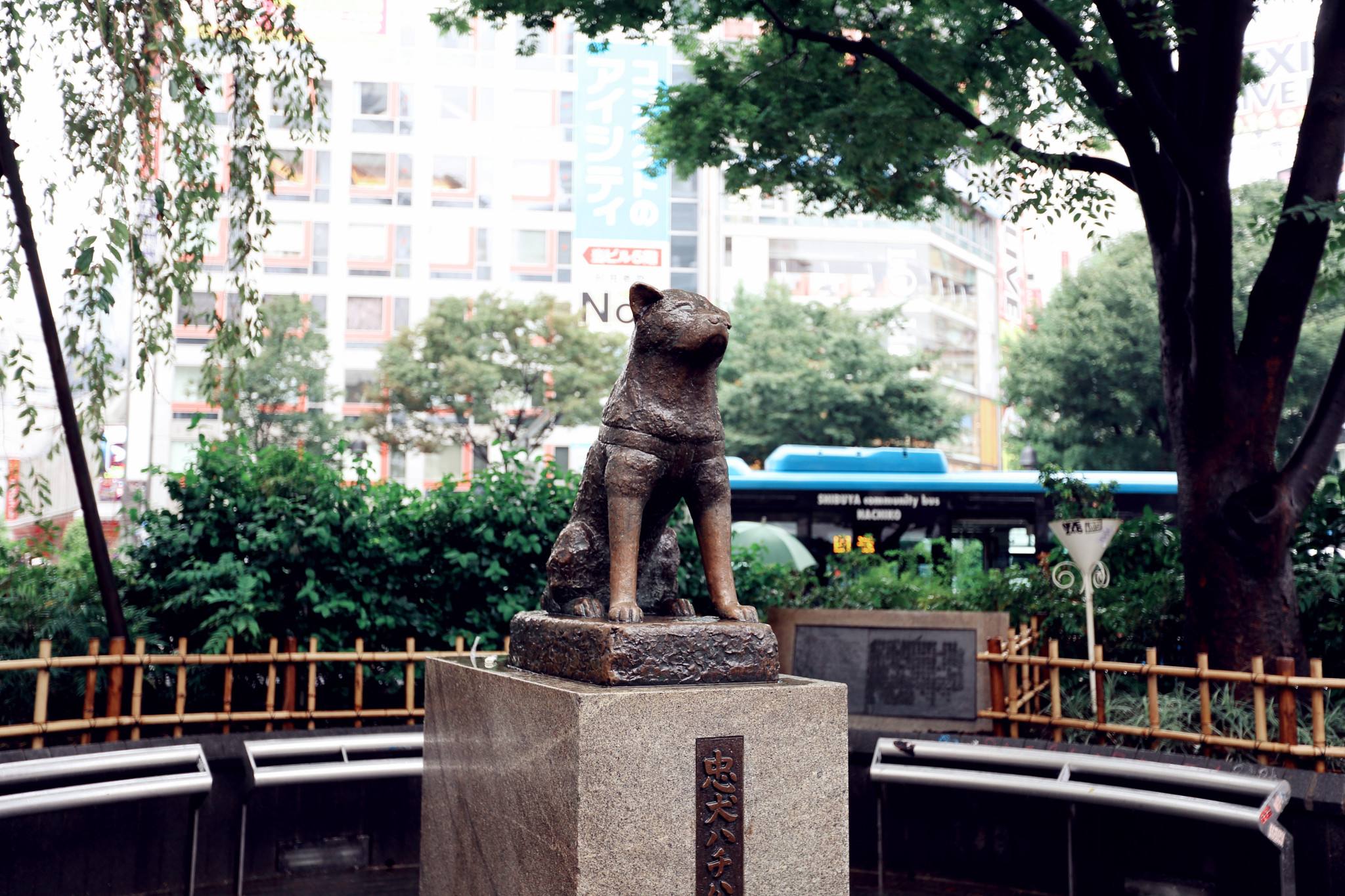 位于日本街头的忠犬八公雕像,是一条具有传奇色彩的忠犬 位于日本街头的忠犬八公雕像,是一条具有传奇色彩的忠犬