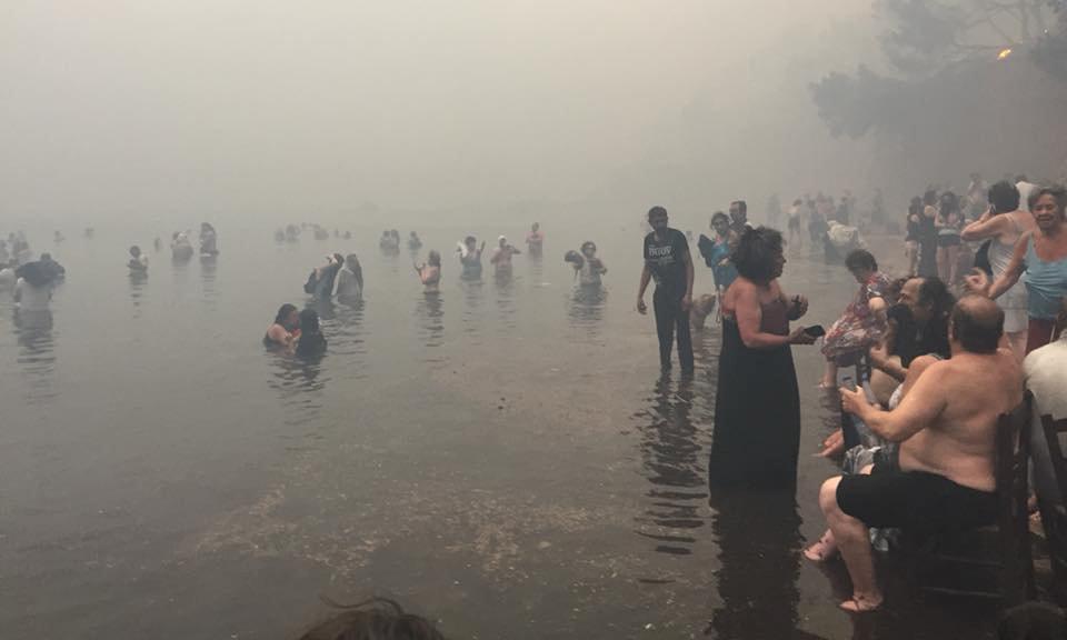 希腊沿海地区的森林大火。人们在海里躲避