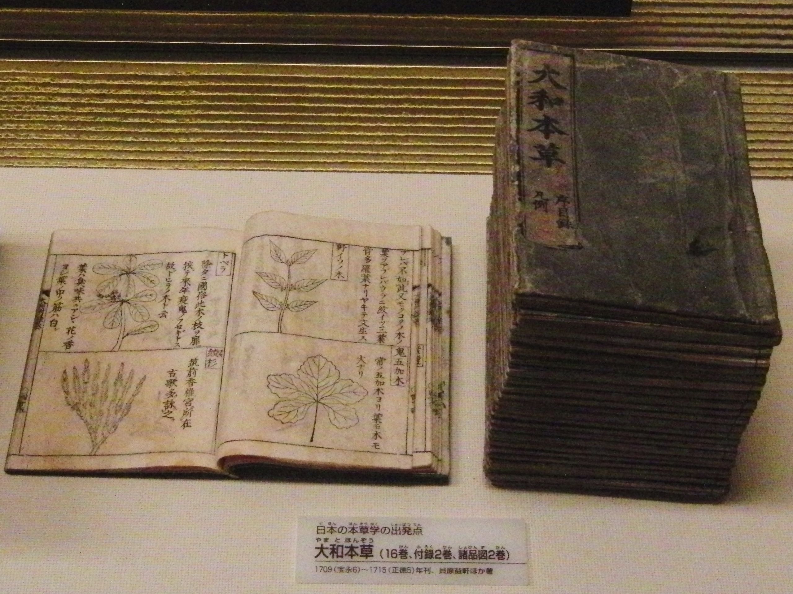 贝原益轩的著作《大和本草》 贝原益轩的著作《大和本草》