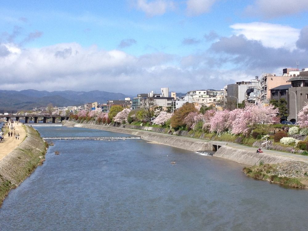 鴨川 鴨川