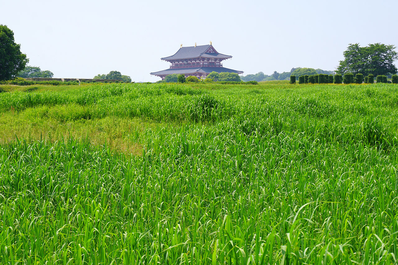 奈良平城京跡 奈良平城京跡