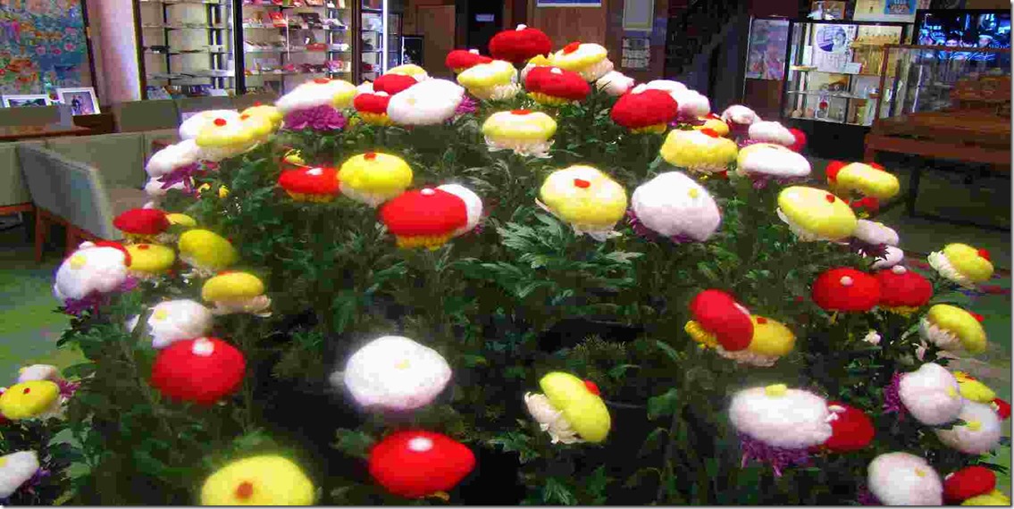 大宫八幡宫的菊被绵 大宫八幡宫的菊被绵