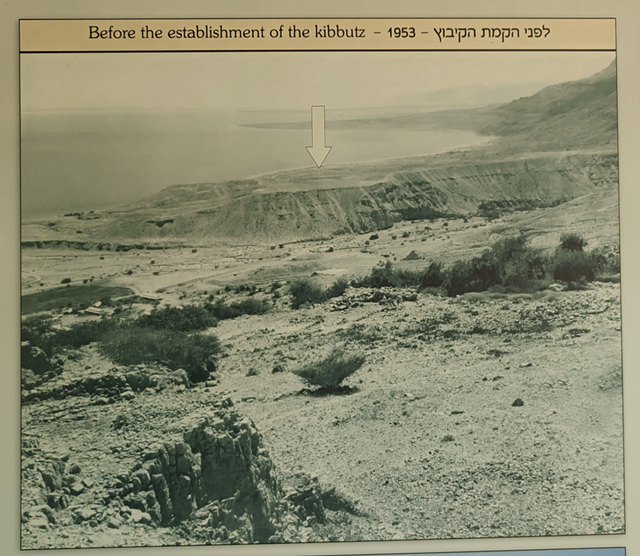 1953年,因·盖蒂基布兹,作者供图 1953年,因·盖蒂基布兹,作者供图