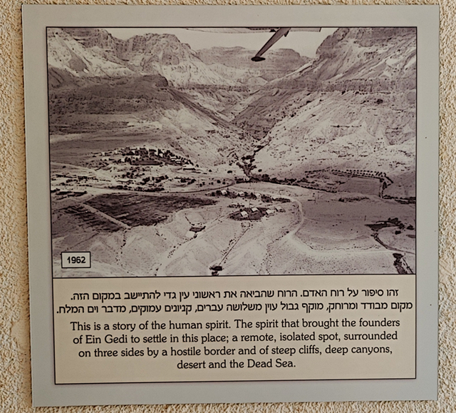 1962年,因·盖蒂基布兹,作者供图 1962年,因·盖蒂基布兹,作者供图