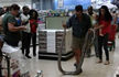 3米大蟒蛇超市冰柜“冬眠” 吓傻顾客