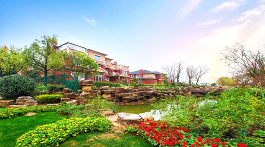 全城聚焦!南京碧桂园12.26引爆全城