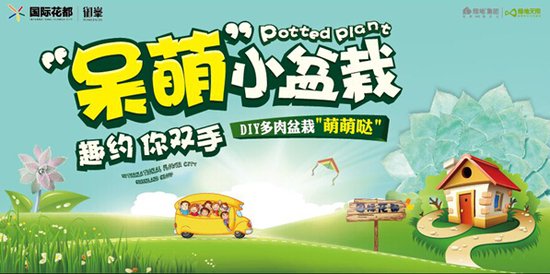 【国际花都】多肉DIY盆栽趣约一元拍