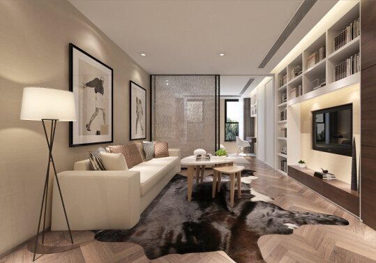 夫子庙金街:提前投资 收益稳定高回报率_房产