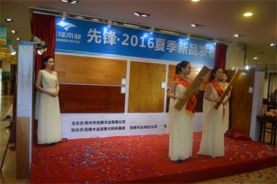 先锋第二届购物狂欢节暨夏季新品发布会火热进行