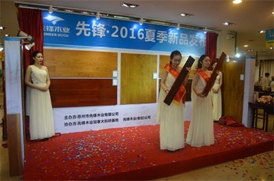 先锋第二届购物狂欢节暨夏季新品发布会火热进行