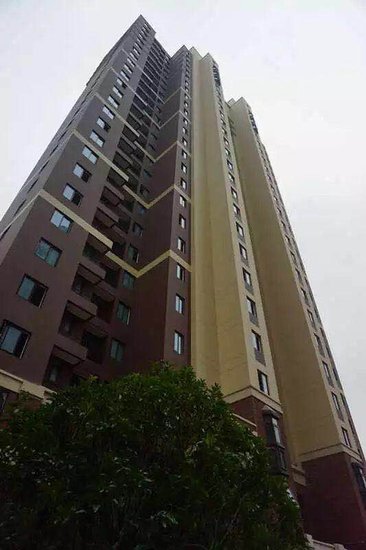 汊河经济总量_河汊图片(3)