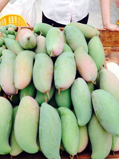 21日古鼎香农批大市场南宁至田阳商务一日游