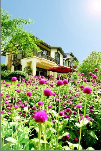 平果碧桂园唯美园林规划 自然兼繁华